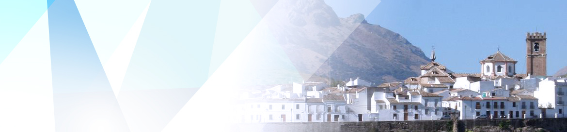 Banner Banner